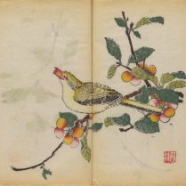 Le plus vieux livre imprimé en couleurs