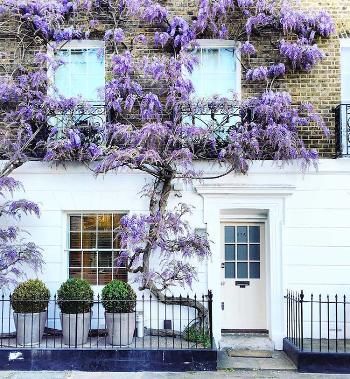 lec-sejour-linguistique-londres-portes-angleterre