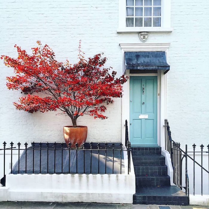 lec-sejour-linguistique-londres-portes-angleterre