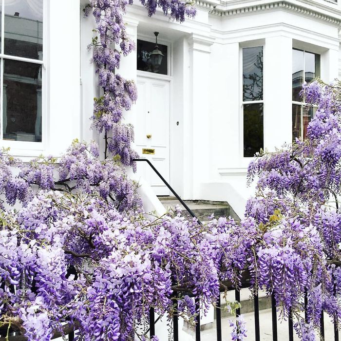 lec-sejour-linguistique-londres-portes-angleterre