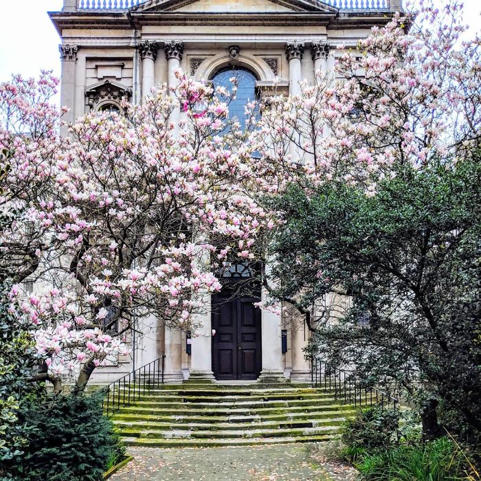 lec-sejour-linguistique-londres-portes-angleterre