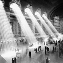 lec-sejour-linguistique-new-york-photos-archive (5)