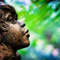 lec-sejour-linguistique-australie-william-ricketts-sanctuary