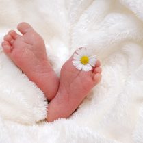 lec-sejour-linguistique-angleterre-prenom-bebe-archie