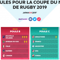 lec-pays-sejours-linguistiques-coupe-monde-rugby