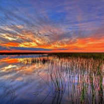 lec-sejour-linguistique-miami-origine-nom-floride